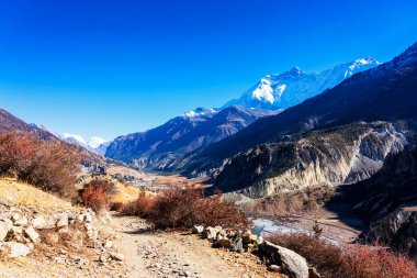 Nepal 'de popüler bir turizm beldesi olan Annapurna Circuit Trail' in panoramik manzarası. Thorong La ya da Thorung La geçidine ana kampa giden yol..