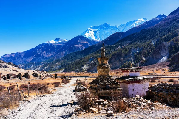 アナプルナ大聖堂周辺のハイキングコースで仏教の仏塔 有名な観光地アナプルナ サークル トレイル ネパール — ストック写真