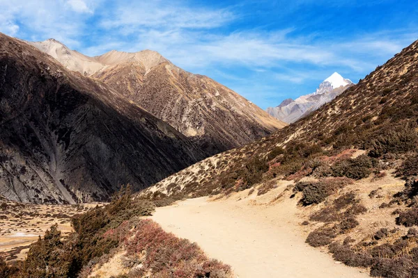 Vista Panoramica Famoso Sentiero Turistico Nepal Annapurna Circuit Trail Strada — Foto Stock