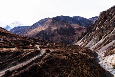 Nepal 'de popüler bir turizm beldesi olan Annapurna Circuit Trail' in panoramik manzarası. Thorong La ya da Thorung La geçidine ana kampa giden yol..