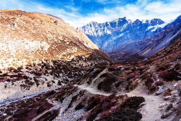 Panoramatický Výhled Oblíbenou Turistickou Trasu Nepálu Annapurna Circuit Trail Cesta — Stock fotografie