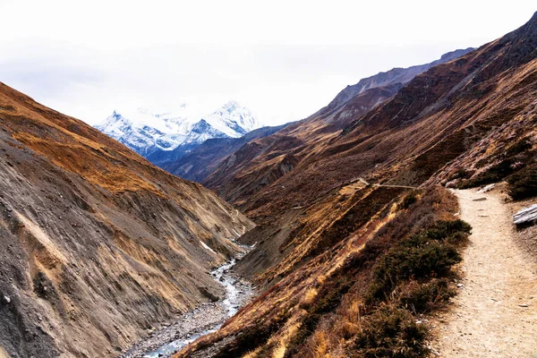 Nepal 'de popüler bir turizm beldesi olan Annapurna Circuit Trail' in panoramik manzarası. Thorong La ya da Thorung La geçidine ana kampa giden yol..