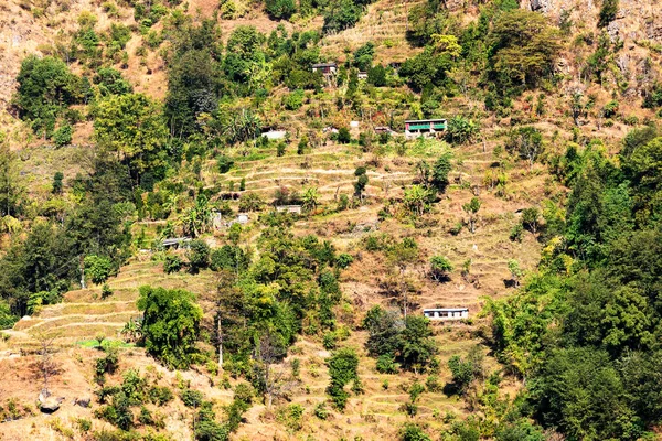 Güzel Yeşil Renkli Pirinç Tarlaları Himalayalar Annapurna Pisti Üzerindeki Nepal — Stok fotoğraf