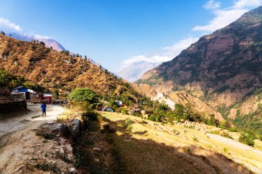 Güzel yeşil ve renkli pirinç tarlaları, Himalayalar, Annapurna Pisti üzerindeki Nepal - popüler turist yürüyüş parkuru