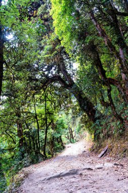 Nepal Himalaya dağlarında Annapurna Pisti 'ndeki patika - Nepal' de popüler turizm merkezi ve yürüyüş parkuru