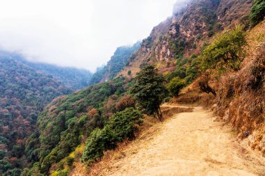 Annapurna ana kampına giden Nepal Himalaya dağlarının derin vadileri.