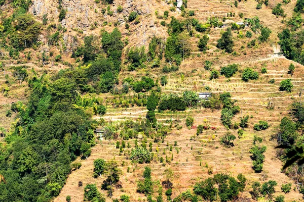 Luchtfoto Van Prachtige Groene Kleurrijke Rijstveld Terrassen Himalaya Nepal Annapurna — Stockfoto