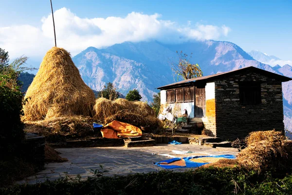 Nepali traditional house. Rural life in Nepal. Beautiful view along Annapurna trek route, ABC, Asia