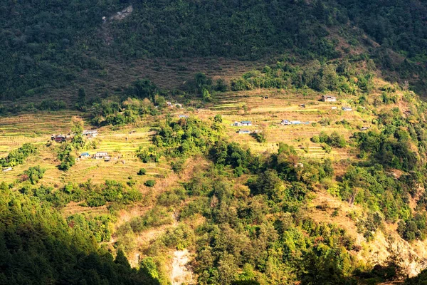 Vue Aérienne Belles Terrasses Verdoyantes Colorées Rizières Himalaya Népal Sur — Photo