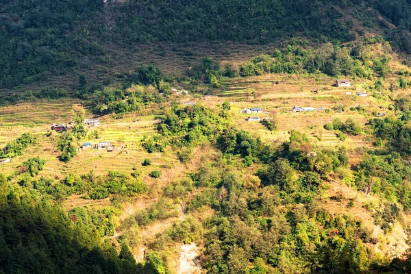 Luchtfoto Van Prachtige Groene Kleurrijke Rijstveld Terrassen Himalaya Nepal Annapurna — Stockfoto