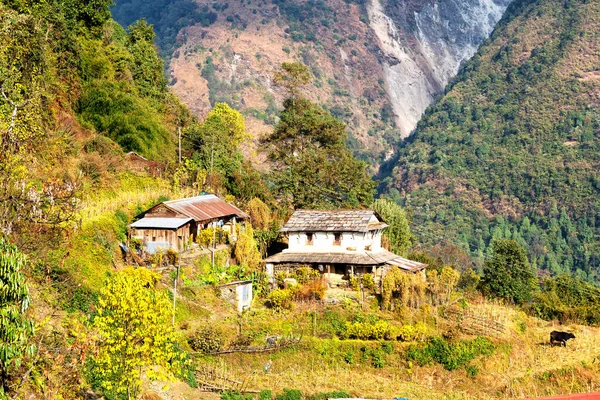 Vista Una Piccola Città Insediamento Una Pista Turistica Popolare Annapurna — Foto Stock