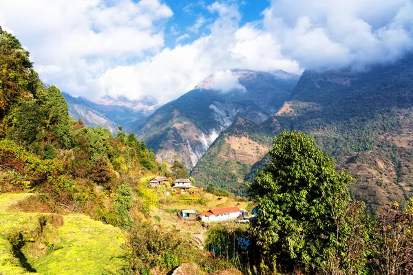 Вид Воздуха Красивые Зеленые Красочные Террасы Рисовых Полей Гималаи Непал — стоковое фото