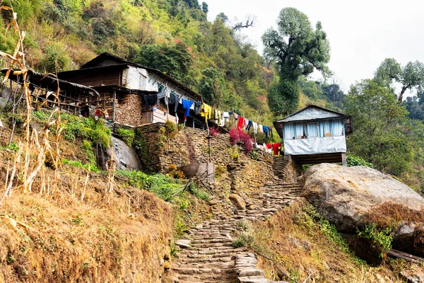 Güzel Yeşil Renkli Pirinç Tarlaları Himalayalar Annapurna Pisti Üzerindeki Nepal — Stok fotoğraf