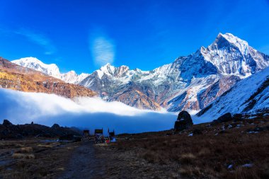 Gün batımında Machapuchare Dağı 'nın (Balıkkuyruk) manzarası, Nepal Himalaya' daki Annapurna ana kampından. Machhapuchchare, Nepal 'in kuzeyindeki Annapurna Himal bölgesinde bir dağdır.