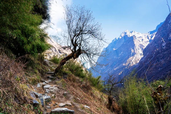 Trekking Región Annapurna Con Annapurnas Fondo — Foto de Stock