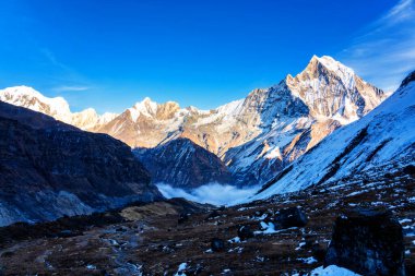 Gün batımında Machapuchare Dağı 'nın (Balıkkuyruk) manzarası, Nepal Himalaya' daki Annapurna ana kampından. Machhapuchchare, Nepal 'in kuzeyindeki Annapurna Himal bölgesinde bir dağdır.