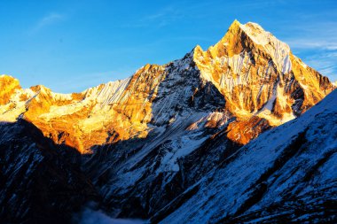 Gün batımında Machapuchare Dağı 'nın (Balıkkuyruk) manzarası, Nepal Himalaya' daki Annapurna ana kampından. Machhapuchchare, Nepal 'in kuzeyindeki Annapurna Himal bölgesinde bir dağdır.