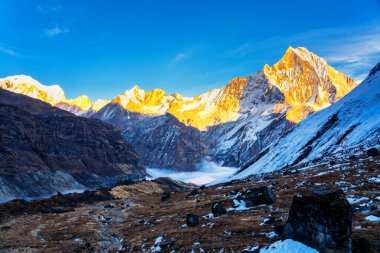 Gün batımında Machapuchare Dağı 'nın (Balıkkuyruk) manzarası, Nepal Himalaya' daki Annapurna ana kampından. Machhapuchchare, Nepal 'in kuzeyindeki Annapurna Himal bölgesinde bir dağdır.