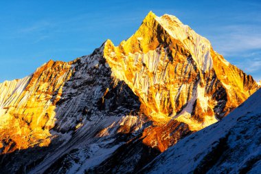 Gün batımında Machapuchare Dağı 'nın (Balıkkuyruk) manzarası, Nepal Himalaya' daki Annapurna ana kampından. Machhapuchchare, Nepal 'in kuzeyindeki Annapurna Himal bölgesinde bir dağdır.