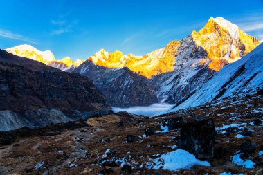 Gün batımında Machapuchare Dağı 'nın (Balıkkuyruk) manzarası, Nepal Himalaya' daki Annapurna ana kampından. Machhapuchchare, Nepal 'in kuzeyindeki Annapurna Himal bölgesinde bir dağdır.