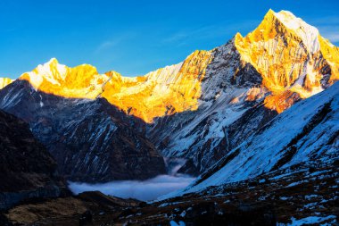 Gün batımında Machapuchare Dağı 'nın (Balıkkuyruk) manzarası, Nepal Himalaya' daki Annapurna ana kampından. Machhapuchchare, Nepal 'in kuzeyindeki Annapurna Himal bölgesinde bir dağdır.