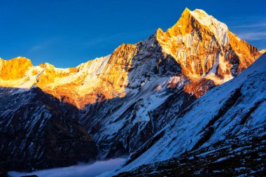 Gün batımında Machapuchare Dağı 'nın (Balıkkuyruk) manzarası, Nepal Himalaya' daki Annapurna ana kampından. Machhapuchchare, Nepal 'in kuzeyindeki Annapurna Himal bölgesinde bir dağdır.