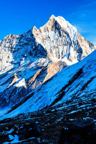 Panorama Mount Machapuchare Fishtail Sunset View Annapurna Base Camp Nepal — стокове фото