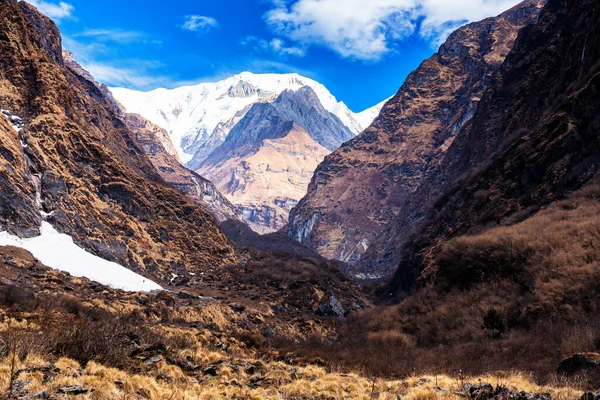 Trekking Der Annapurna Region Mit Annapurnas Hintergrund — Stockfoto