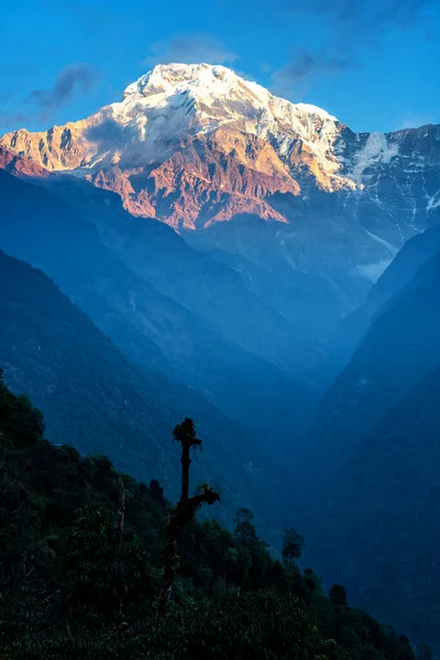 ネパールのアナプルナ ベース キャンプからの眺めヒマラヤのアナプルナ サウスとも呼ばれるモディット ピークのパノラマ — ストック写真
