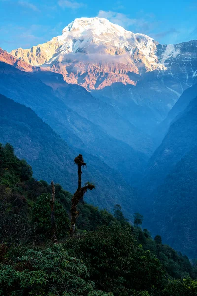 Panorama Pic Moditse Également Appelé Annapurna Sud Vue Depuis Camp — Photo