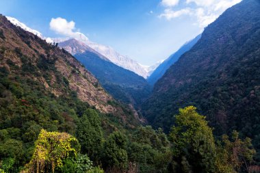 Annapurna ana kampına giden Nepal Himalaya dağlarının derin vadileri.