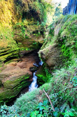 Davis Falls, Nepal 'in Kaski bölgesindeki Pokhara şehrinde yer alan bir şelaledir.