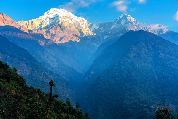 Panorama Moditse Peak Also Called Annapurna South View Annapurna Base — Stock Photo, Image