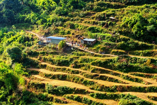 Вид Воздуха Красивые Зеленые Красочные Террасы Рисовых Полей Гималаи Непал — стоковое фото