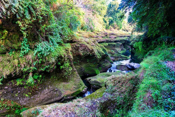 Davis Falls Est Une Cascade Située Pokhara Dans District Kaski — Photo