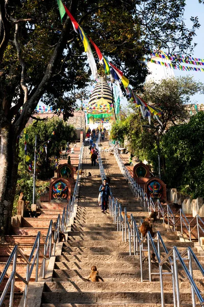 Kathmandu Nepal Dezember 2018 Treppe Zum Swayambhunath Stupa Oder Affentempel — Stockfoto