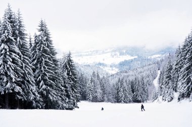 Polonya Beskid Zywiecki 'de Pilsko, Babia Gora ve Hala Miziowa yakınlarındaki Beskidy dağlarında kış mevsimi. Beskid Zywiecki Karpatya dağlarının bir parçasıdır..