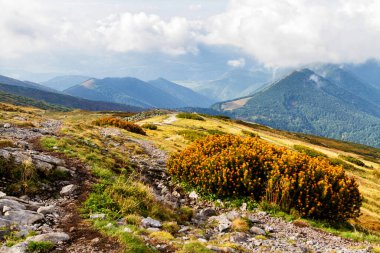 Mala Fatra (Küçük Fatra) dağları, Karpatya aralığı, Slovakya