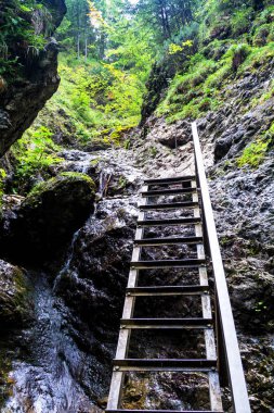 Daha Küçük Fatra Dağları, Karpat Dağları, Slovakya, Avrupa