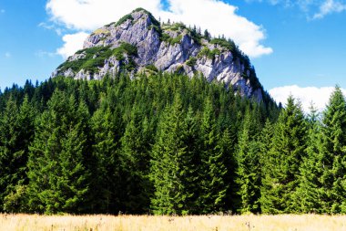 Maly Rozsutec, Mala Fatra, Karpat dağ sırası, Slovakya