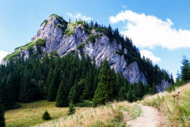 Maly Rozsutec, Mala Fatra, Karpat dağ sırası, Slovakya
