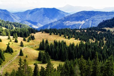 Mala Fatra Ulusal Parkı 'ndaki Küçük Rozsutec' ten güzel bir dağ manzarası, Slovakya Cumhuriyeti 'ndeki Terchova bölgesi, Europa