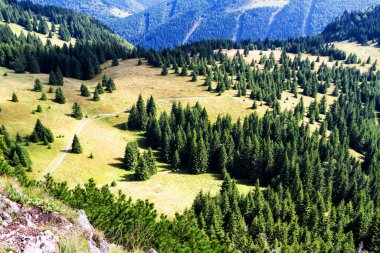 Mala Fatra Ulusal Parkı 'ndaki Küçük Rozsutec' ten güzel bir dağ manzarası, Slovakya Cumhuriyeti 'ndeki Terchova bölgesi, Europa