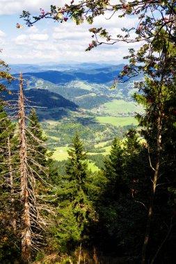 Mala Fatra Ulusal Parkı 'ndaki Küçük Rozsutec' ten güzel bir dağ manzarası, Slovakya Cumhuriyeti 'ndeki Terchova bölgesi, Europa