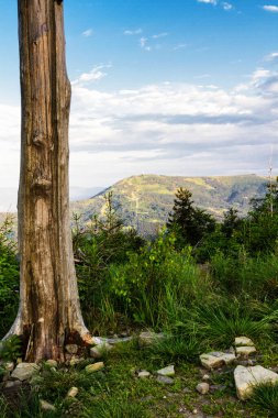 Beskidy Dağları 'ndan Polonya dağı Skrzyczne' nin manzarası - Klimczok tepesi (Beskid Slaski). Beskid Slaski, Karpaty 'nin (Karpatya Dağları) bir parçasıdır. Avrupa