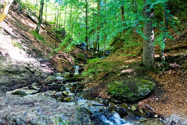 Diery Trail Menší Fatra Mountains Karpat Range Slovakia Europe — Stock fotografie