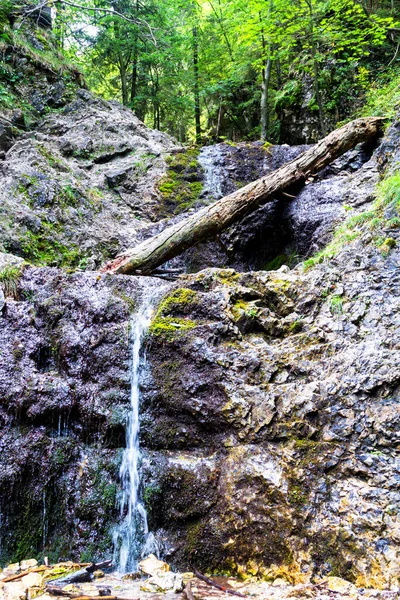 Sendero Buceo Las Montañas Fatra Menor Cordillera Los Cárpatos Eslovaquia —  Fotos de Stock