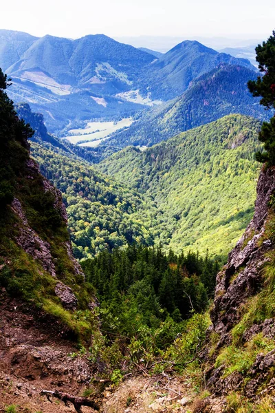 Schöne Berglandschaft Vom Kleinen Rozsutec Nationalpark Mala Fatra Terchova Der — Stockfoto