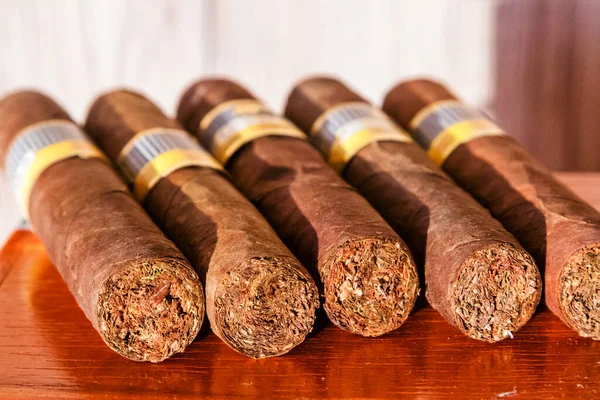 Кубинские Сигары Производство Сигар Кубе Контролируется Кубинским Правительством Каждый Бренд — стоковое фото