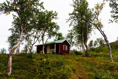 Ormanda gizlenmiş Norveç ahşap kulübesi. Bu tür kulübeler çoğunlukla turistler ya da balıkçılar için kullanılır. Günümüzde şehir dışına, kırsal bölgelere gitmek için popüler hafta sonları geçiyorlar..